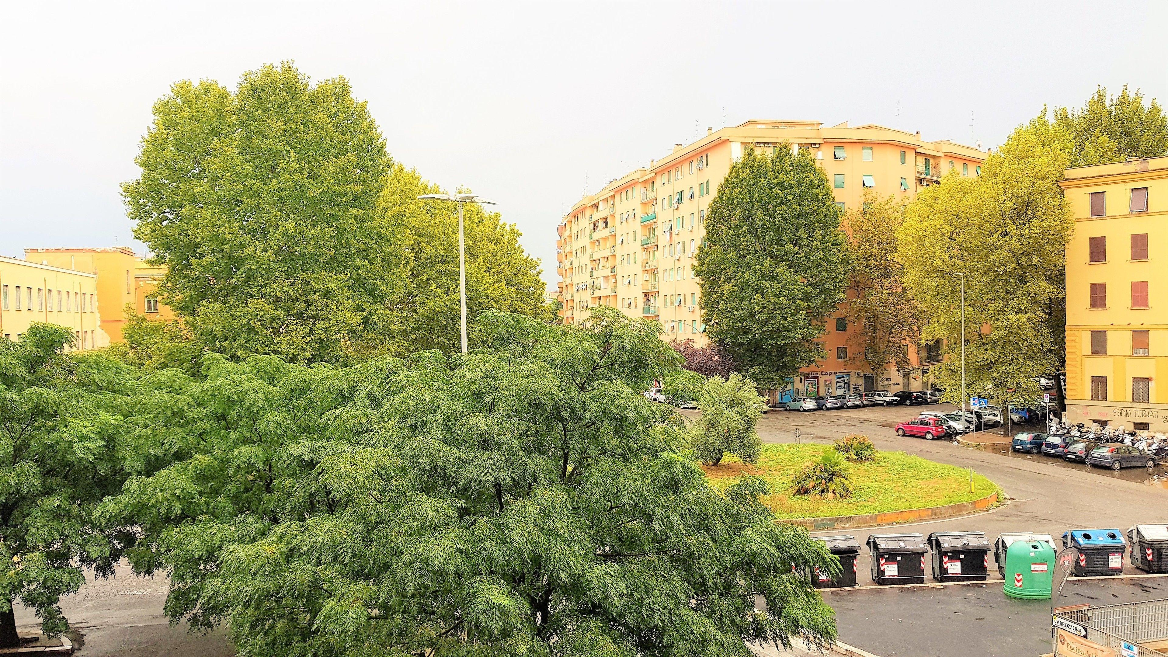 Dodo Holiday In Rome — Photos 3